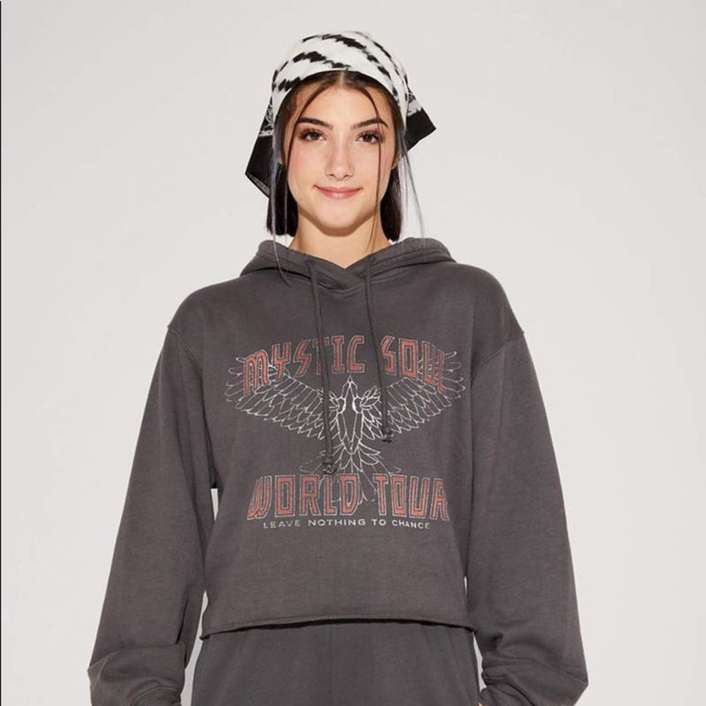 Hollister Cropped Sweatshirt